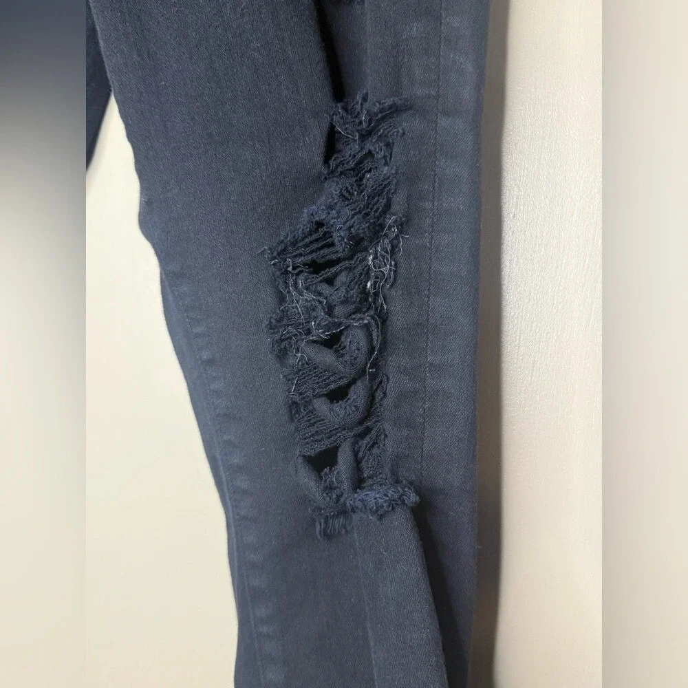 Frame Denim rame le